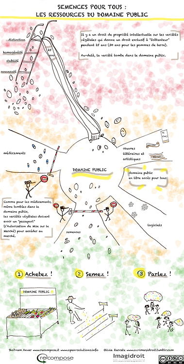 Infographie sur le domaine public des semences par Imagidroit. 