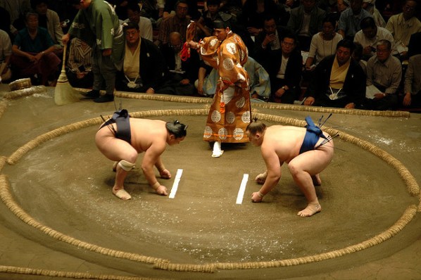 sumo
